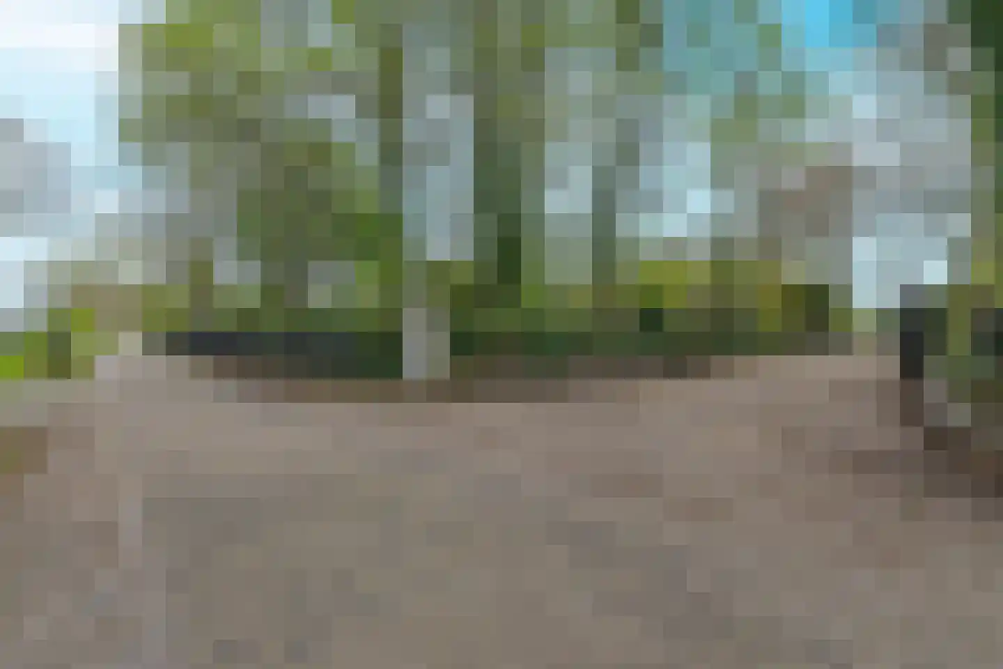 Oekelseheidestraat 3 Rijsbergen thumbnail 4