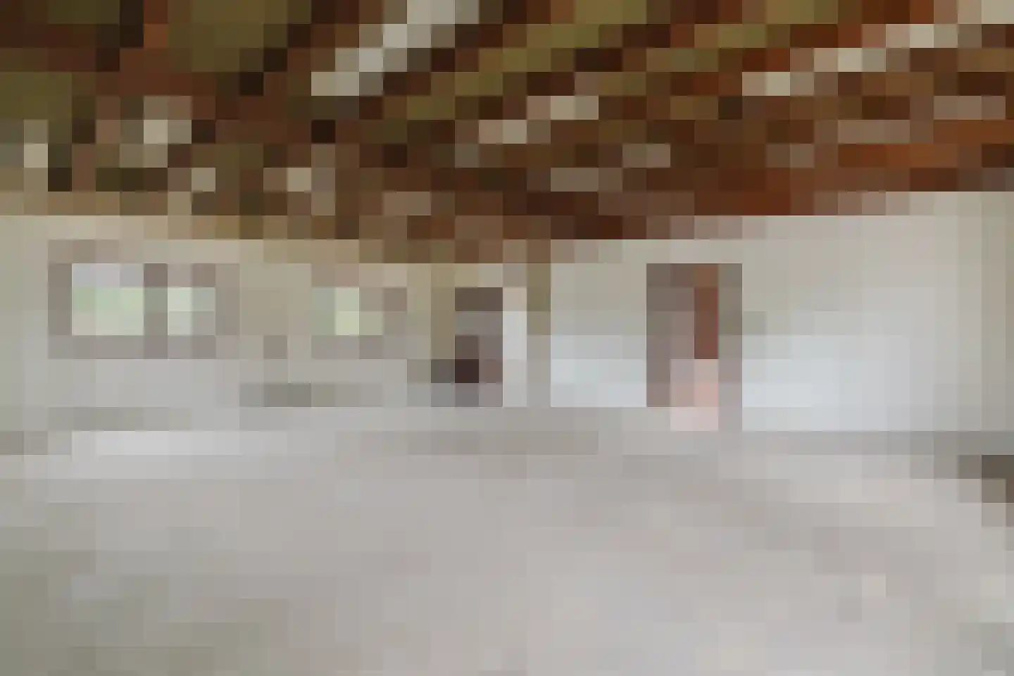 Oekelseheidestraat 3 Rijsbergen thumbnail 40
