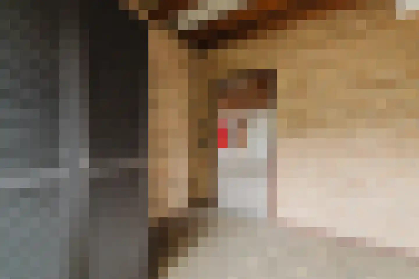 Oekelseheidestraat 3 Rijsbergen thumbnail 41