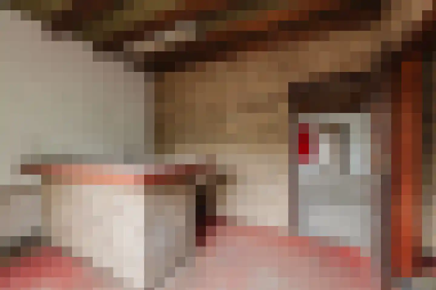 Oekelseheidestraat 3 Rijsbergen thumbnail 42