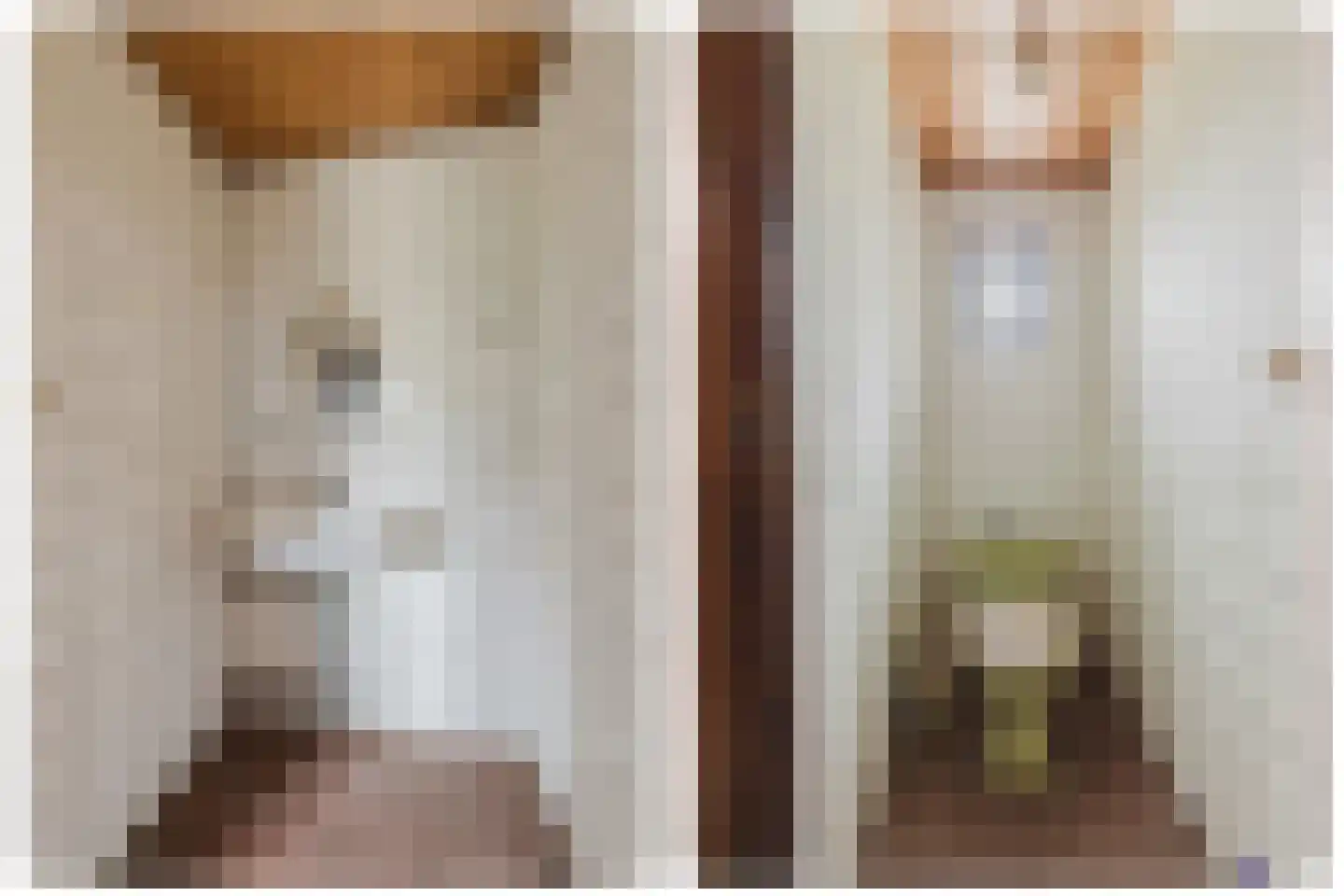 Oekelseheidestraat 3 Rijsbergen thumbnail 46