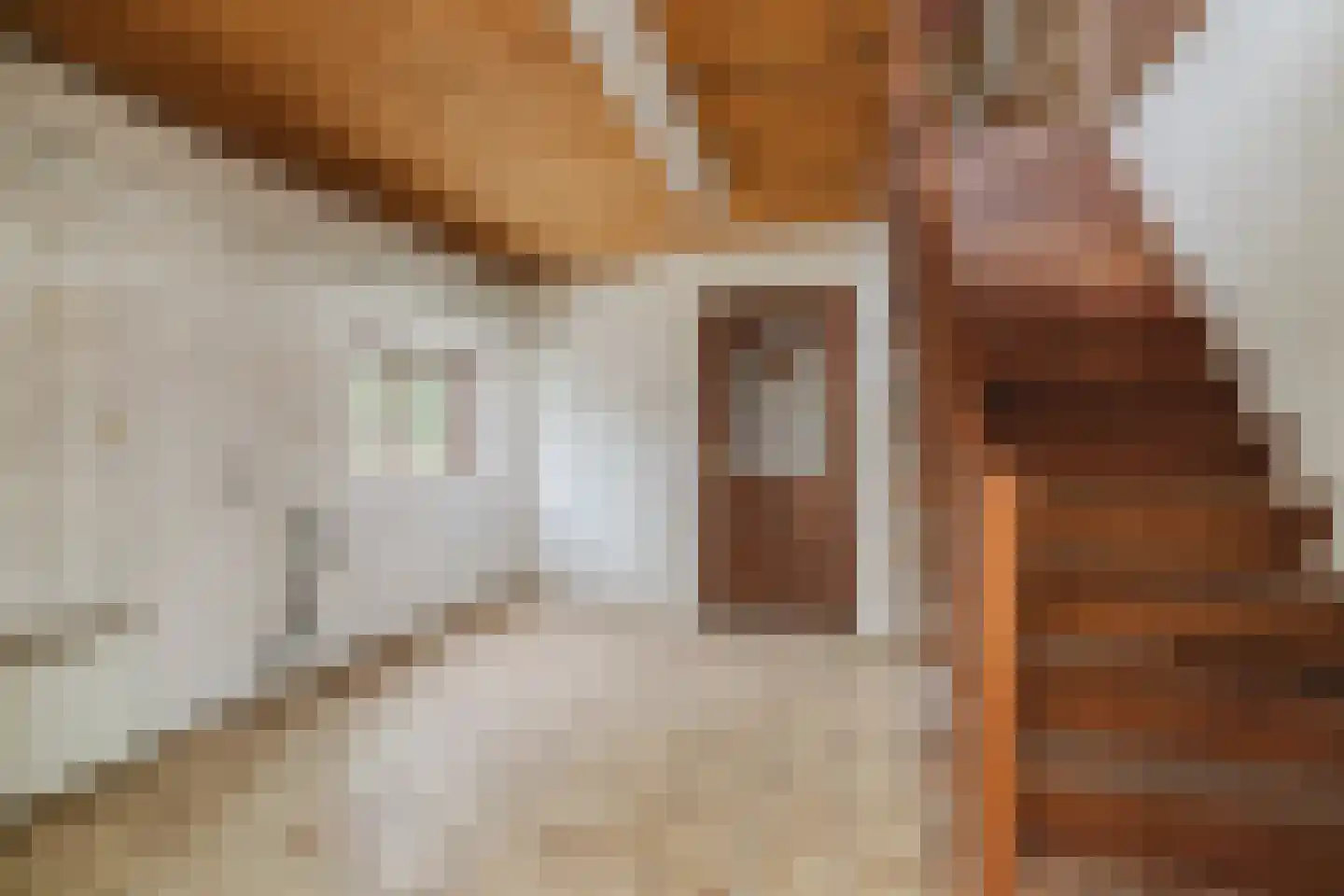 Oekelseheidestraat 3 Rijsbergen thumbnail 47