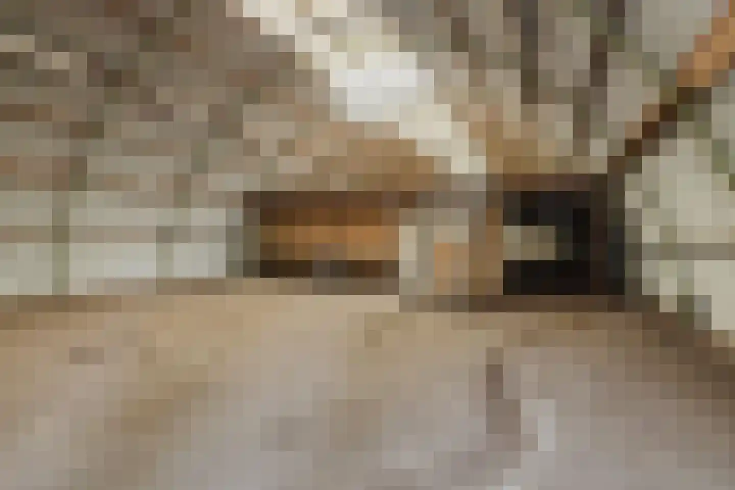 Oekelseheidestraat 3 Rijsbergen thumbnail 58