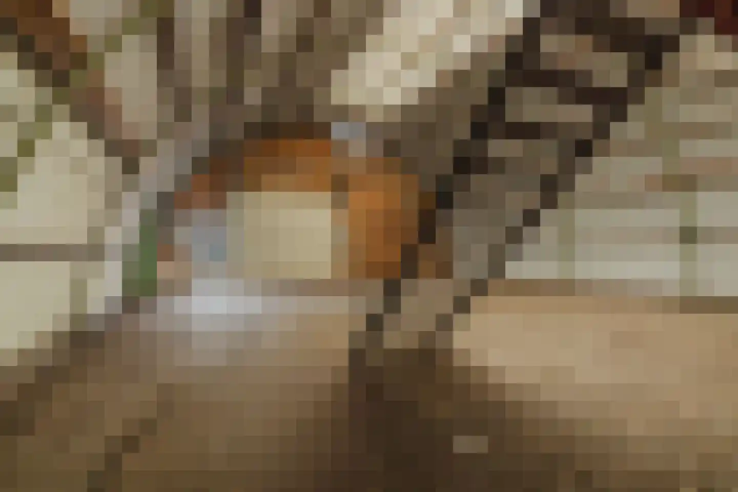 Oekelseheidestraat 3 Rijsbergen thumbnail 60