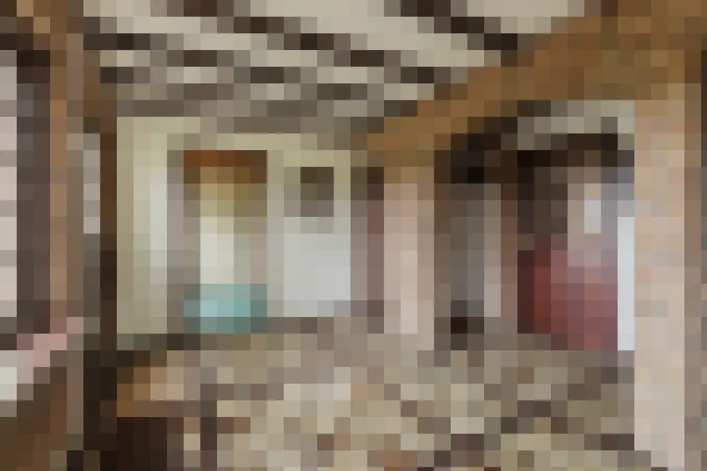 Oekelseheidestraat 3 Rijsbergen thumbnail 7