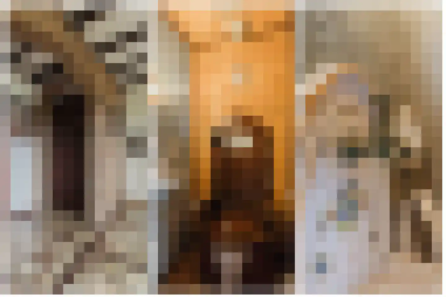 Oekelseheidestraat 3 Rijsbergen thumbnail 8