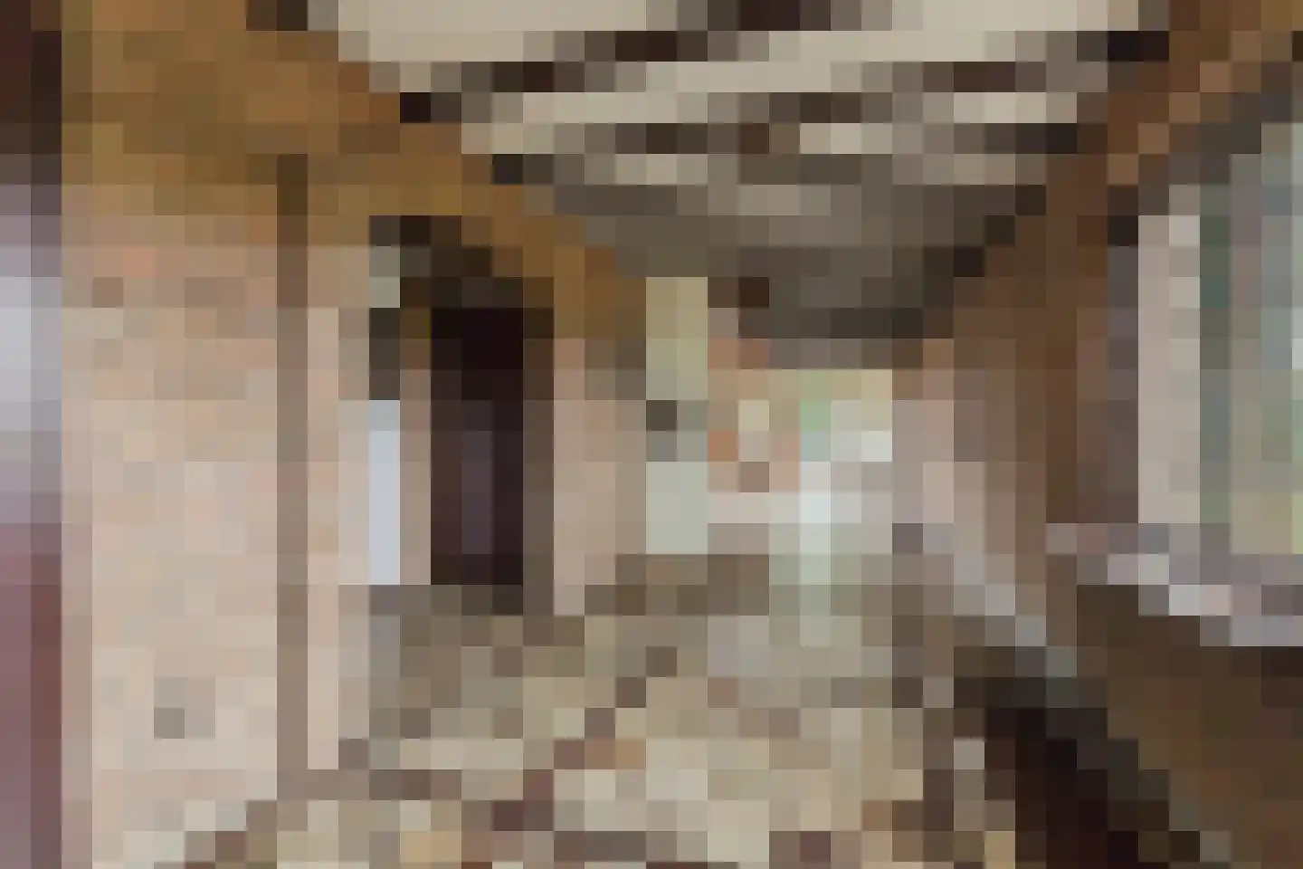 Oekelseheidestraat 3 Rijsbergen thumbnail 9