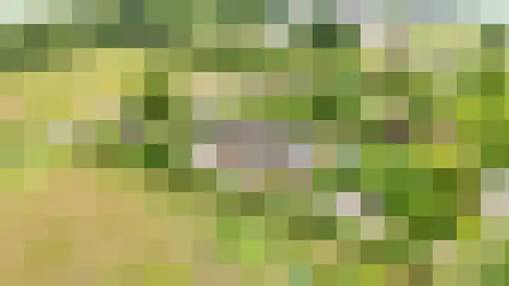 Oelenboom 7 in Gieten