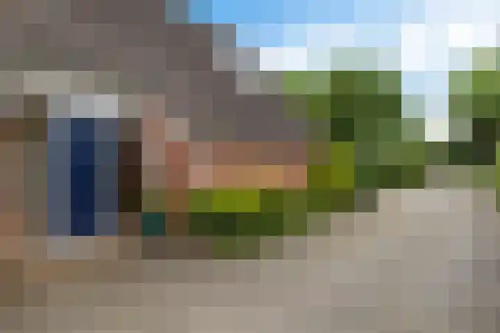 Oelenboom 7 Gieten thumbnail 10