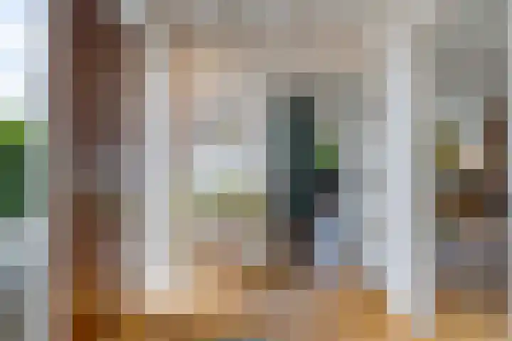 Oelenboom 7 Gieten thumbnail 11