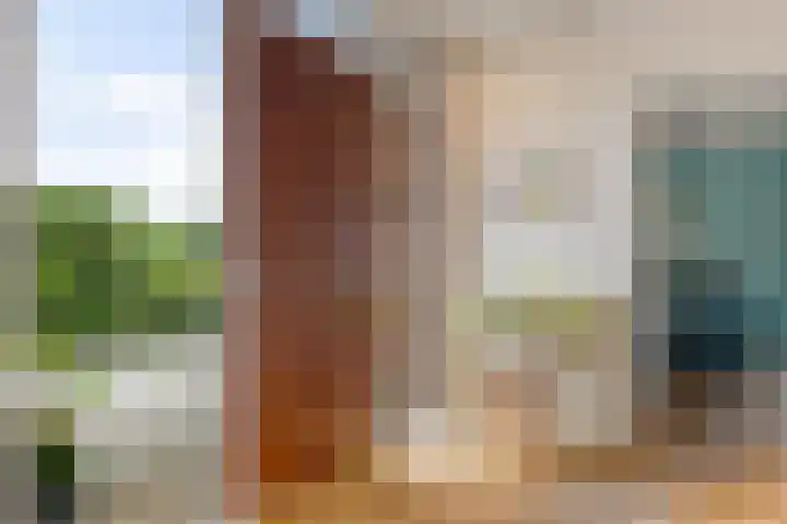 Oelenboom 7 Gieten thumbnail 12