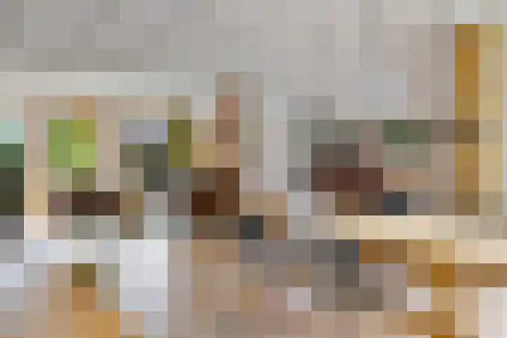 Oelenboom 7 Gieten thumbnail 15