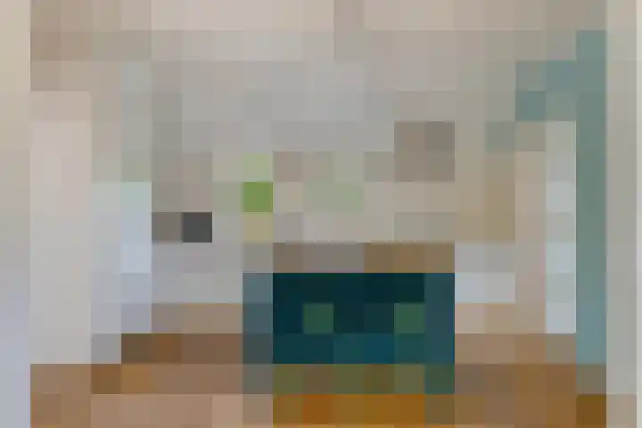 Oelenboom 7 Gieten thumbnail 16