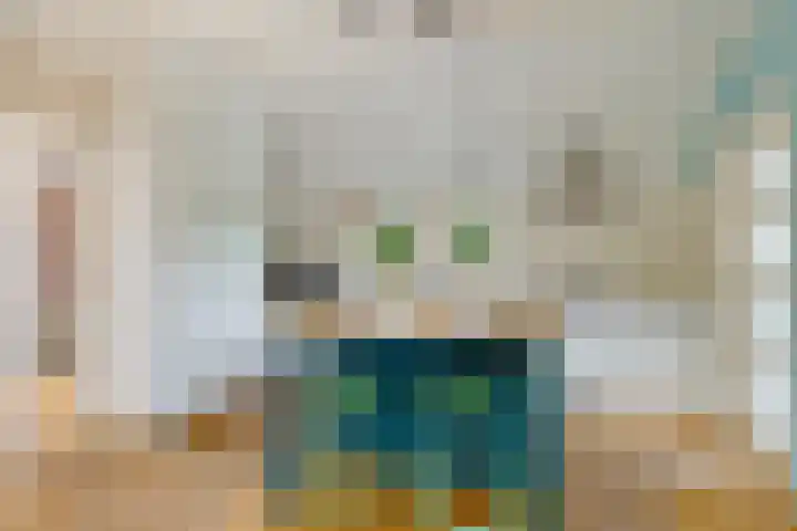 Oelenboom 7 Gieten thumbnail 17