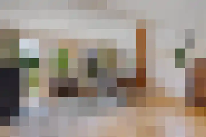 Oelenboom 7 Gieten thumbnail 19