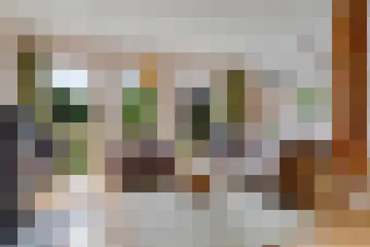 Oelenboom 7 Gieten thumbnail 20