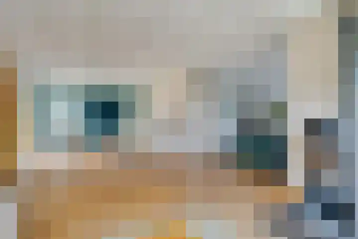 Oelenboom 7 Gieten thumbnail 21