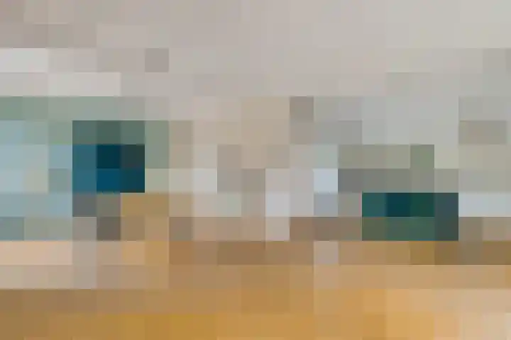 Oelenboom 7 Gieten thumbnail 23