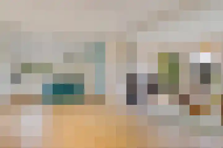 Oelenboom 7 Gieten thumbnail 24