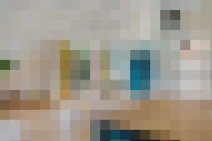 Oelenboom 7 Gieten thumbnail 25
