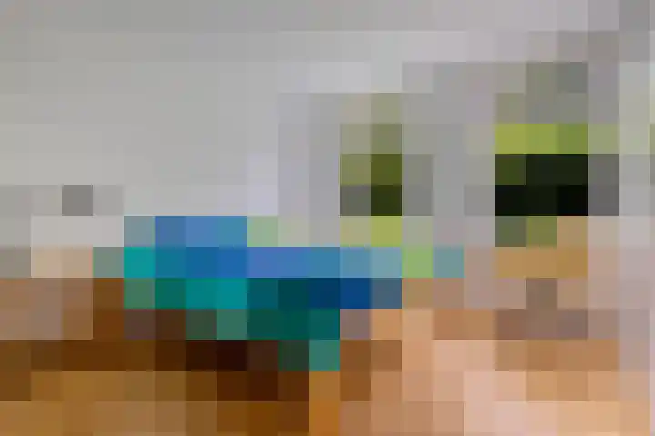 Oelenboom 7 Gieten thumbnail 27