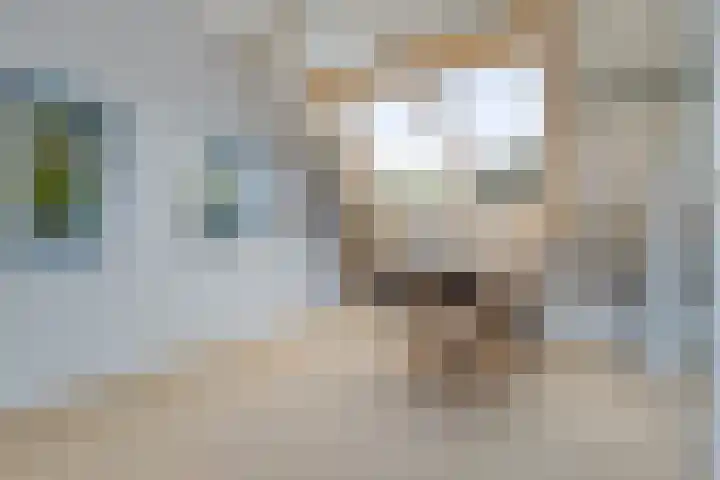 Oelenboom 7 Gieten thumbnail 28