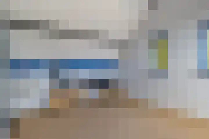 Oelenboom 7 Gieten thumbnail 31