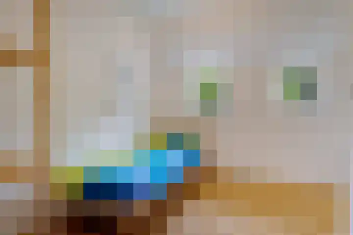 Oelenboom 7 Gieten thumbnail 32
