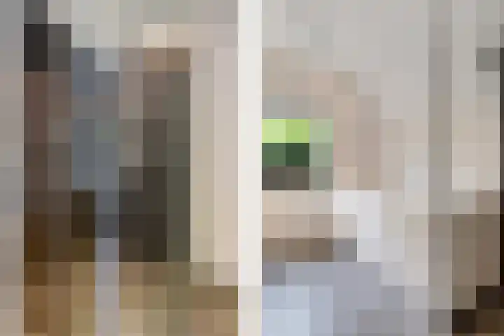Oelenboom 7 Gieten thumbnail 35