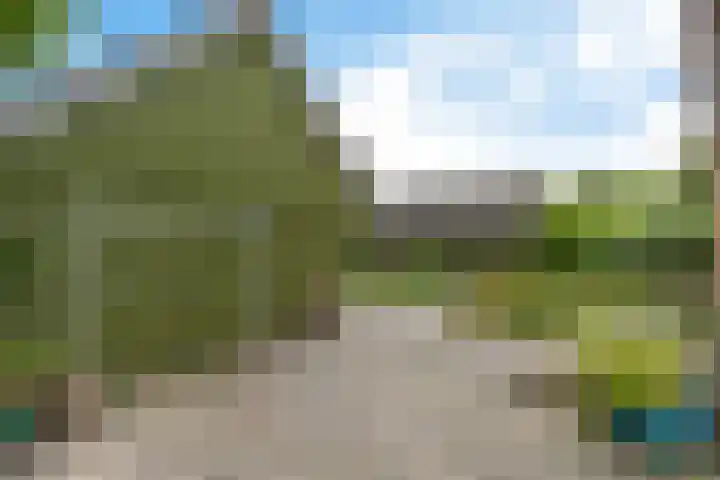 Oelenboom 7 Gieten thumbnail 37
