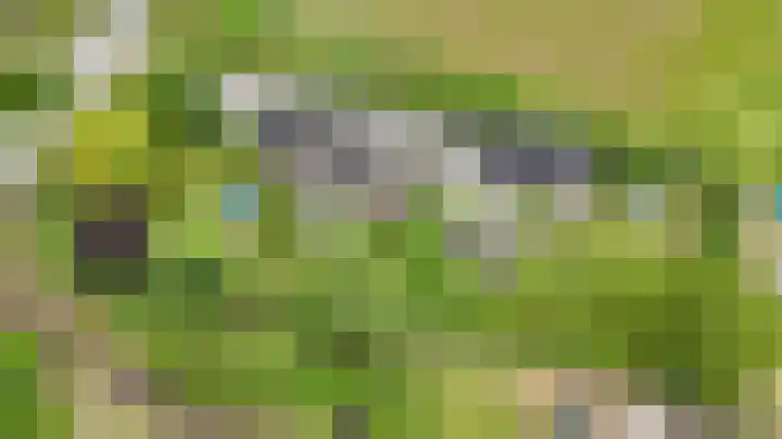 Oelenboom 7 Gieten thumbnail 38