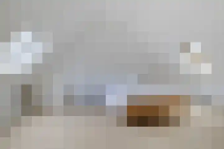 Oelenboom 7 Gieten thumbnail 4