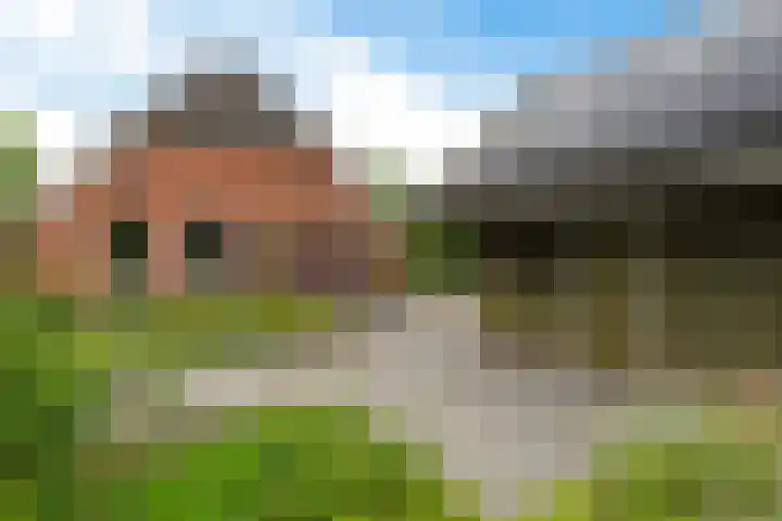 Oelenboom 7 Gieten thumbnail 40