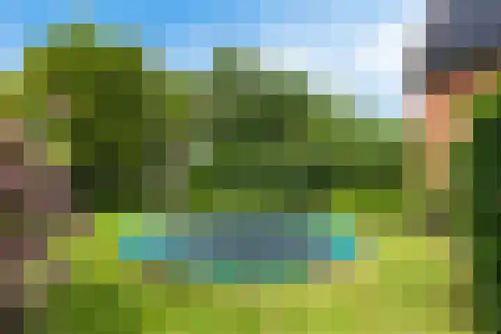 Oelenboom 7 Gieten thumbnail 48