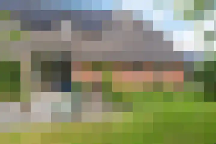 Oelenboom 7 Gieten thumbnail 51