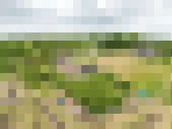 Oelenboom 7 Gieten thumbnail 52