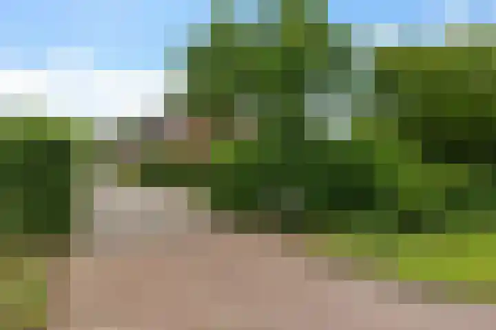 Oelenboom 7 Gieten thumbnail 54