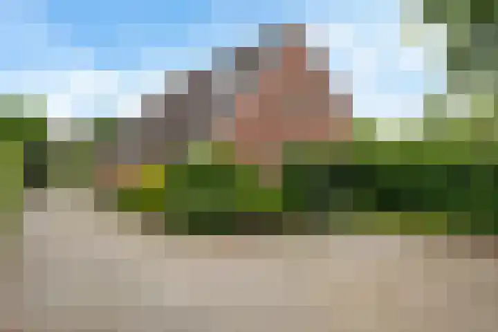 Oelenboom 7 Gieten thumbnail 9