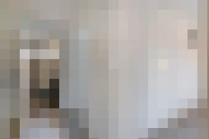 Oelenveerstraat 21 Hardenberg thumbnail 17