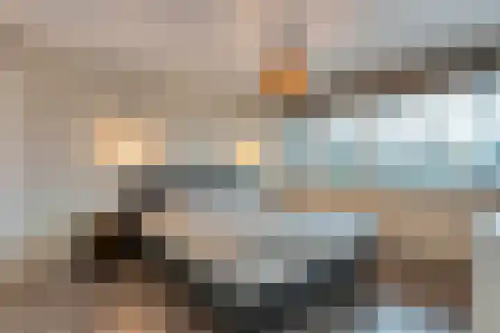 Oelenveerstraat 21 Hardenberg thumbnail 18