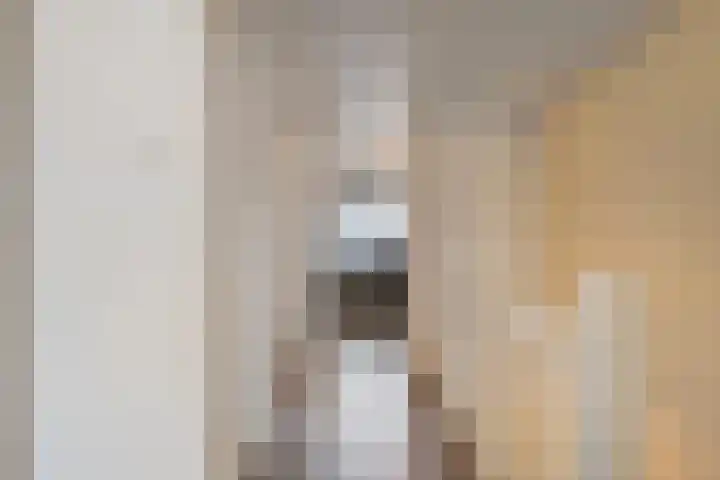 Oelenveerstraat 21 Hardenberg thumbnail 24