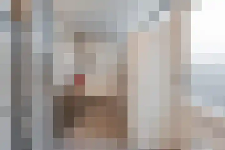 Oelenveerstraat 21 Hardenberg thumbnail 27