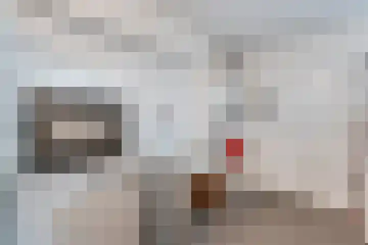 Oelenveerstraat 21 Hardenberg thumbnail 28