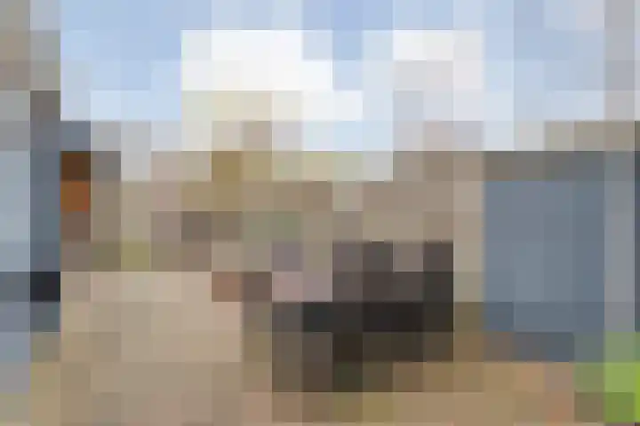Oelenveerstraat 21 Hardenberg thumbnail 30