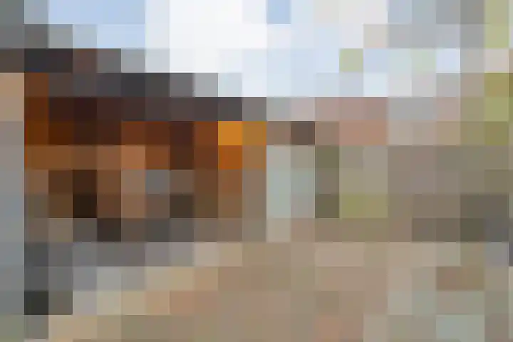Oelenveerstraat 21 Hardenberg thumbnail 32