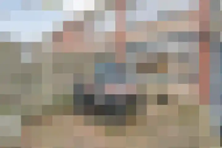 Oelenveerstraat 21 Hardenberg thumbnail 33