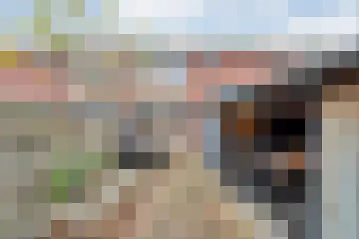 Oelenveerstraat 21 Hardenberg thumbnail 34