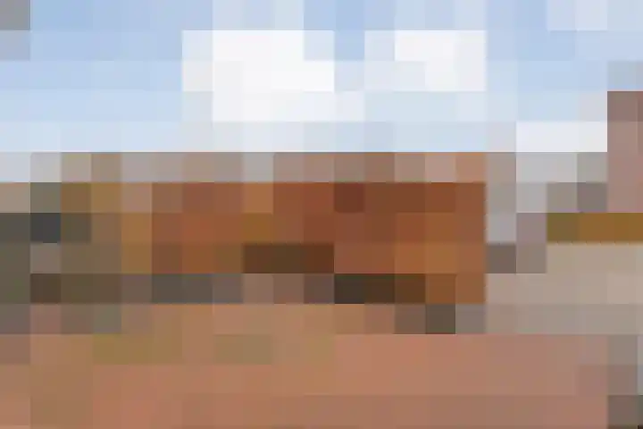 Oelenveerstraat 21 Hardenberg thumbnail 5