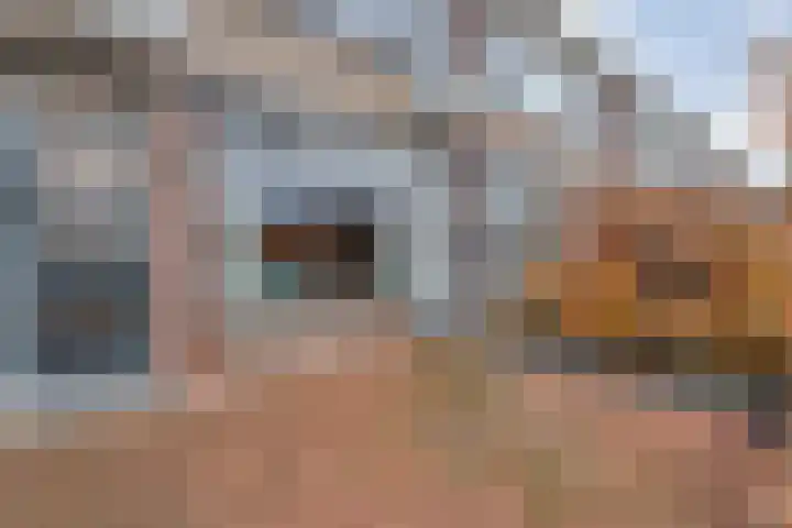 Oelenveerstraat 21 Hardenberg thumbnail 6
