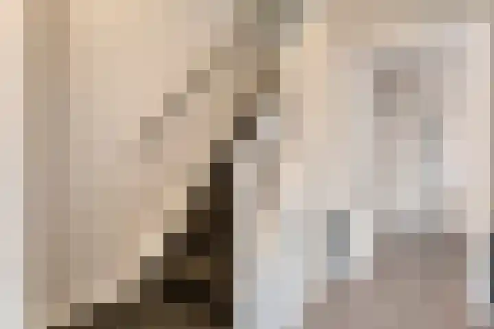 Oelenveerstraat 21 Hardenberg thumbnail 8